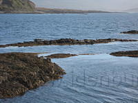 IMG 0853