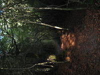 IMG 0856