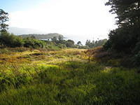IMG 0857