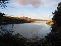IMG 0858