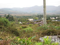 IMG 0860
