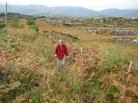 IMG 0861