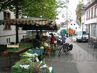 2009-09-17 Fietsen met Wouter en Robertien 036
