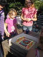 IMG 0817