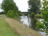 DSC03501
