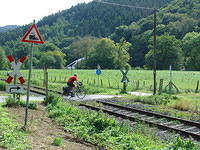 DSC03513
