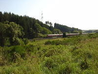DSC03523
