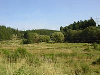 DSC03524