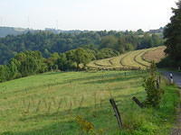 DSC03550