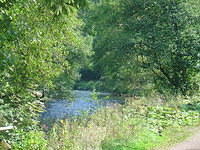 DSC03552