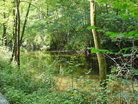 DSC03553