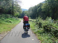 DSC03554