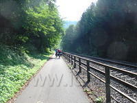 DSC03555