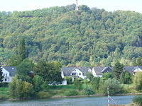 DSC03561