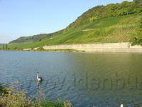 DSC03569