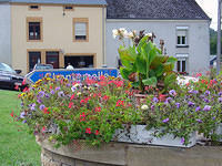 DSC03580