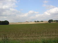 DSC03589