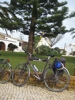 IMG 1236.r