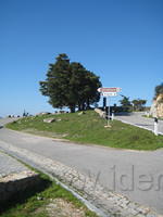IMG 1278