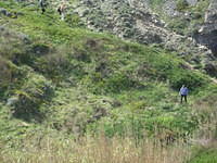 IMG 1315