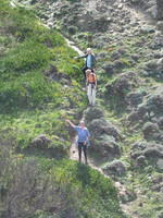 IMG 1316
