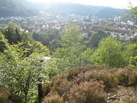 2010-09-01 Fietsen Duitsland 0110