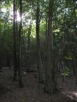 2010-09-01 Fietsen Duitsland 0112.r