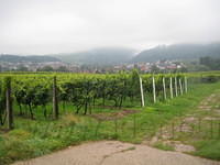 2010-09-01 Fietsen Duitsland 0123
