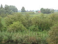 2011 Katjeskelder 006