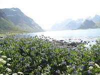 2011 Noorwegen 2 271
