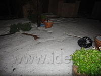DSC03139
