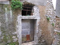IMG 1980