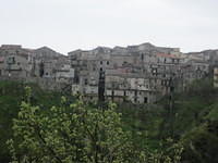 IMG 1996
