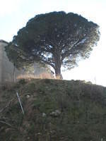 Calabrie1 124