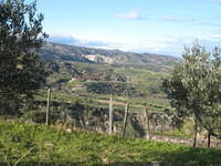 Calabrie1 125
