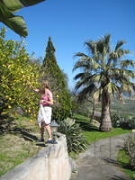 IMG 2784