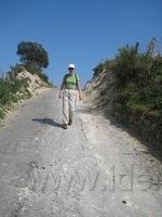 IMG 2957
