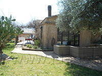 DSCN0913
