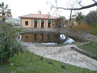 DSCN0967