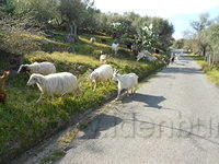 DSCN1074