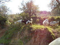 DSCN1076