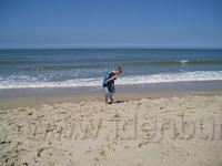 Domburg - Het strand, Jesper ziet een kwal