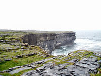 Ierland2005 082 - Inishmore, de kliffen waar geen toeristen komen