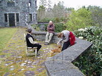 Rossdohan Island 1