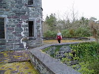 Rossdohan Island 4