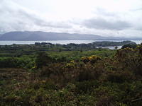 Crasnacree Walk 1