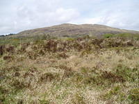 Crasnacree Walk 6
