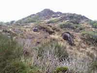 Galways Bridge-Torq Waterfall 1