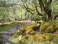 Galways Bridge-Torq Waterfall 2