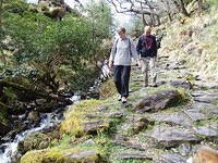 Galways Bridge-Torq Waterfall 4